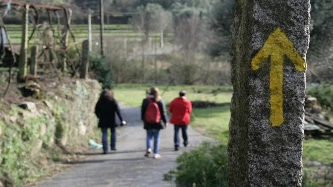 Walking the Way to santiago (Tui-santiago) Self Guided