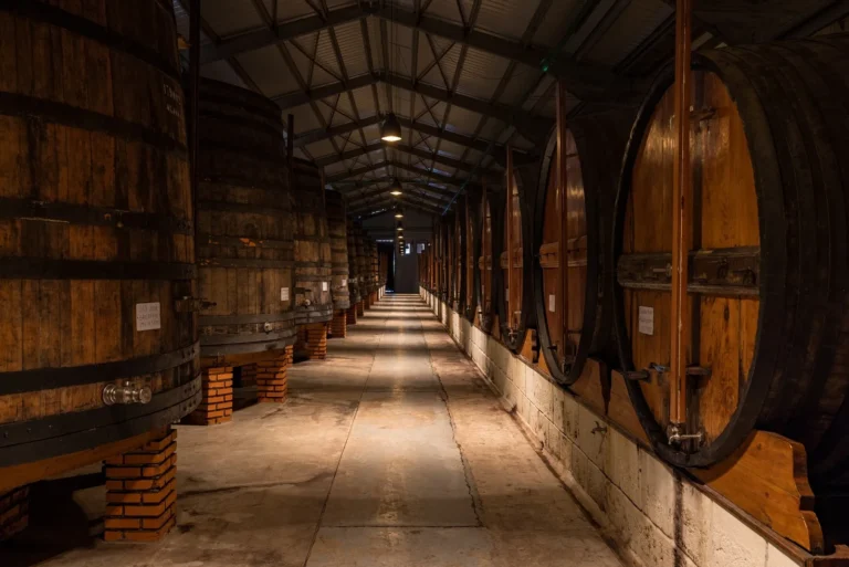 Premium Harvest (Quinta das Quartas, Douro)