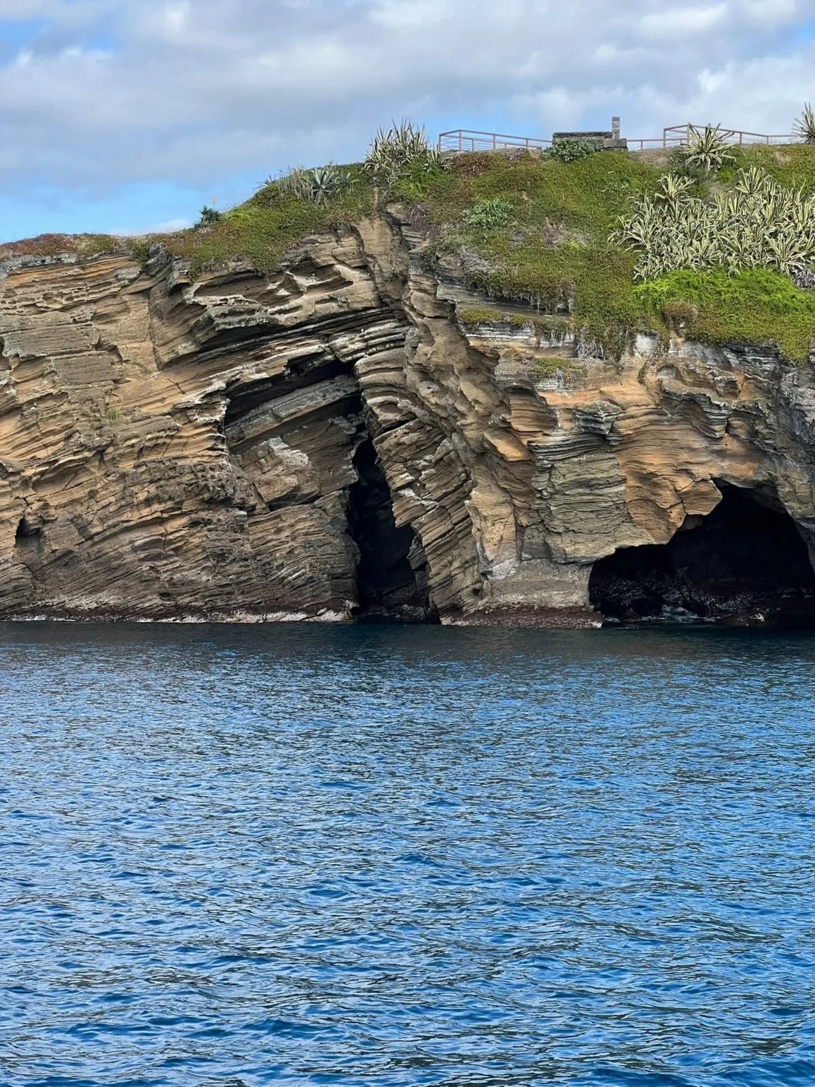 Excursion à l’îlot de São Roque et snorkeling