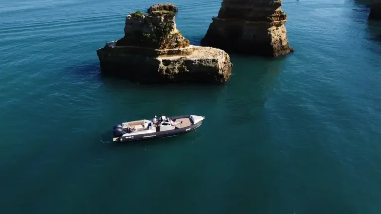 All In One: Benagil, Ponta da Piedade e Golfinhos