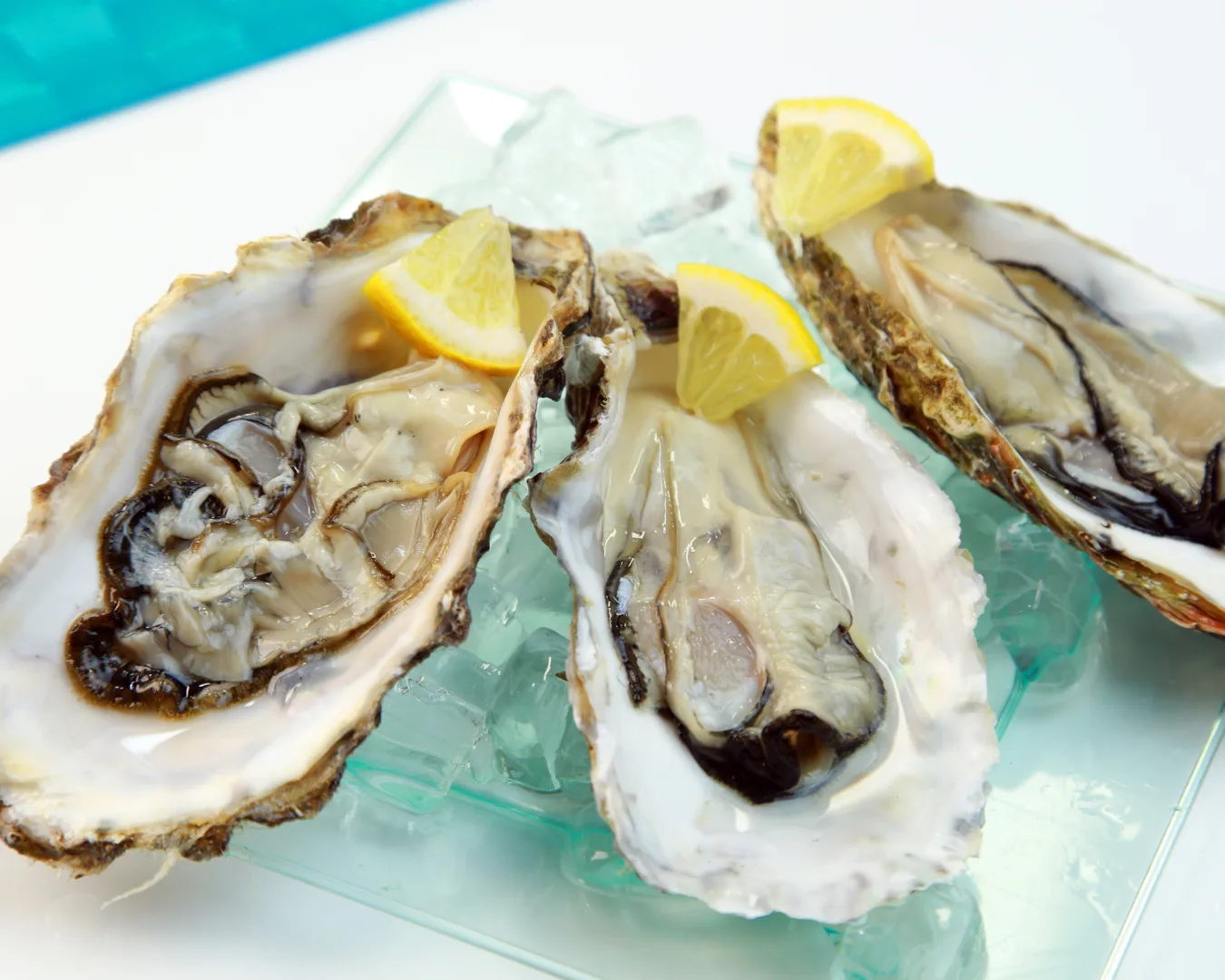 Sunset Tour With Oyster Tasting in Ria Formosa