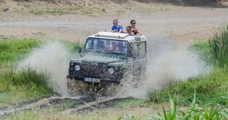 Nature Safari