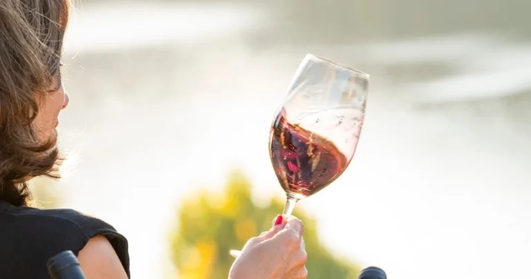 Douro Premium Wine Tour in Armamar