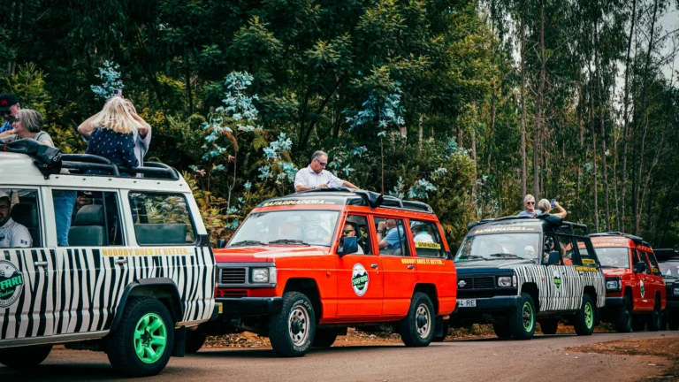 Safari 4x4 Laurissilva Route - Full Day