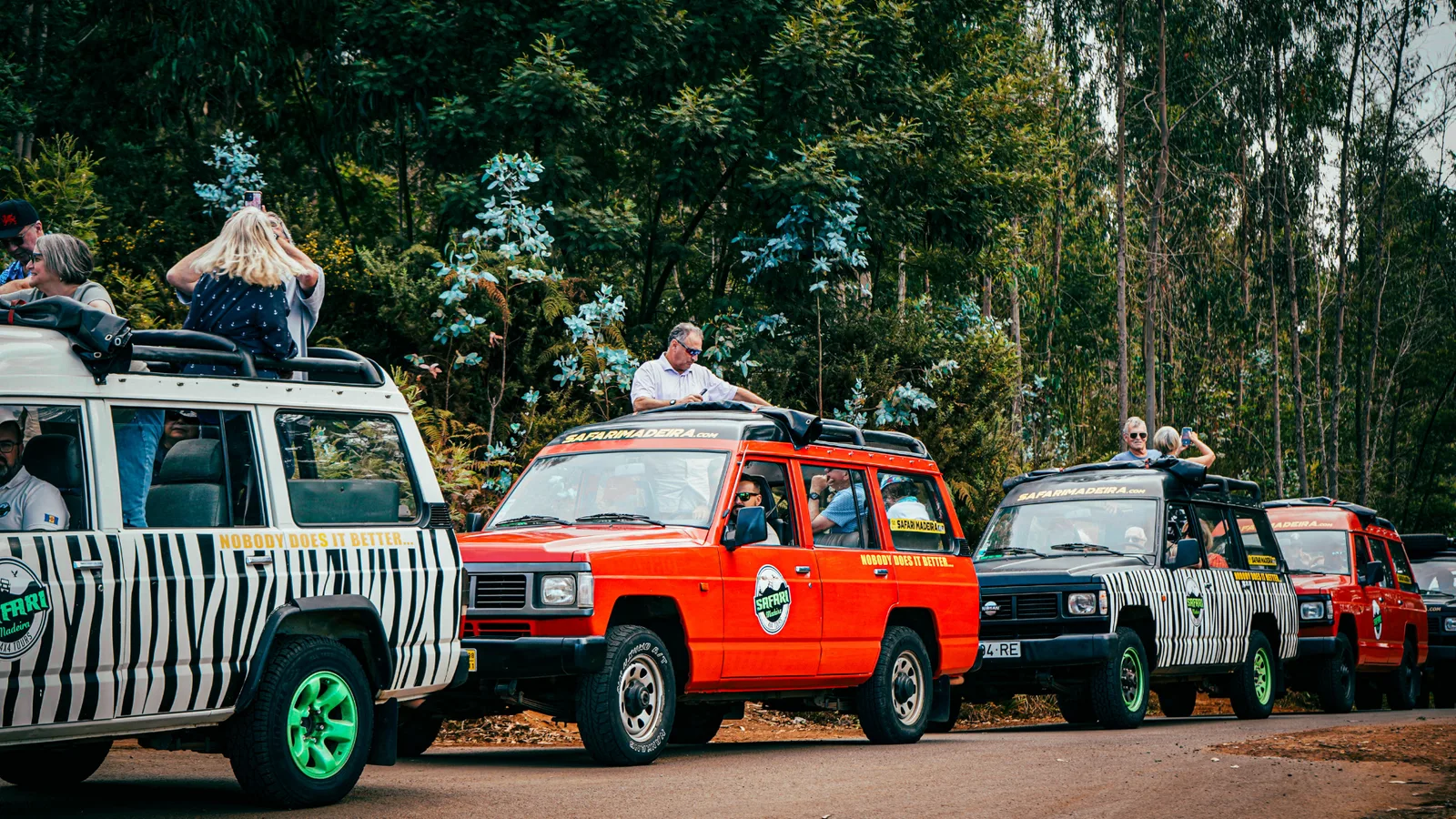Safari 4x4 Laurissilva Route - Full Day