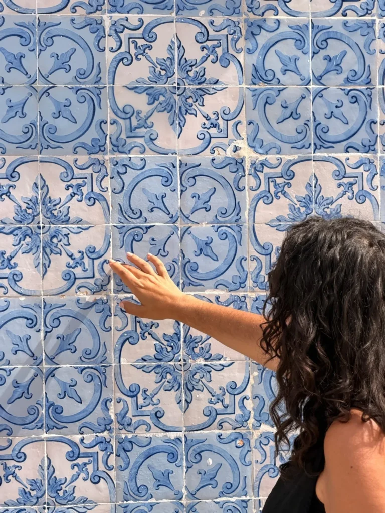 Aveiro Selection - Passeio de moliceiro, walking tour e prova de sabores
