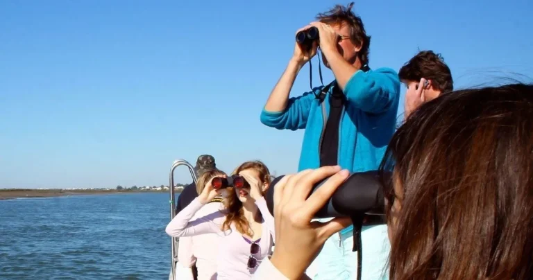 Birdwatching in Ria - Olhão