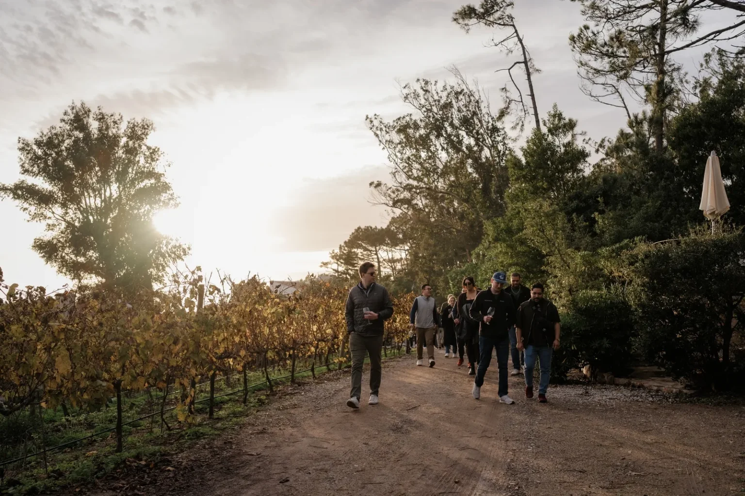 Prova Hike and Wine