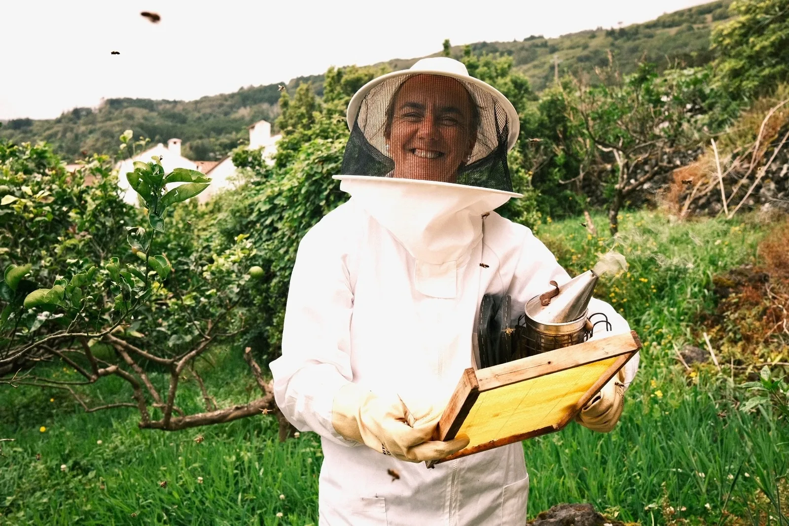 Beekeeper for a day: honey tour in Pico island