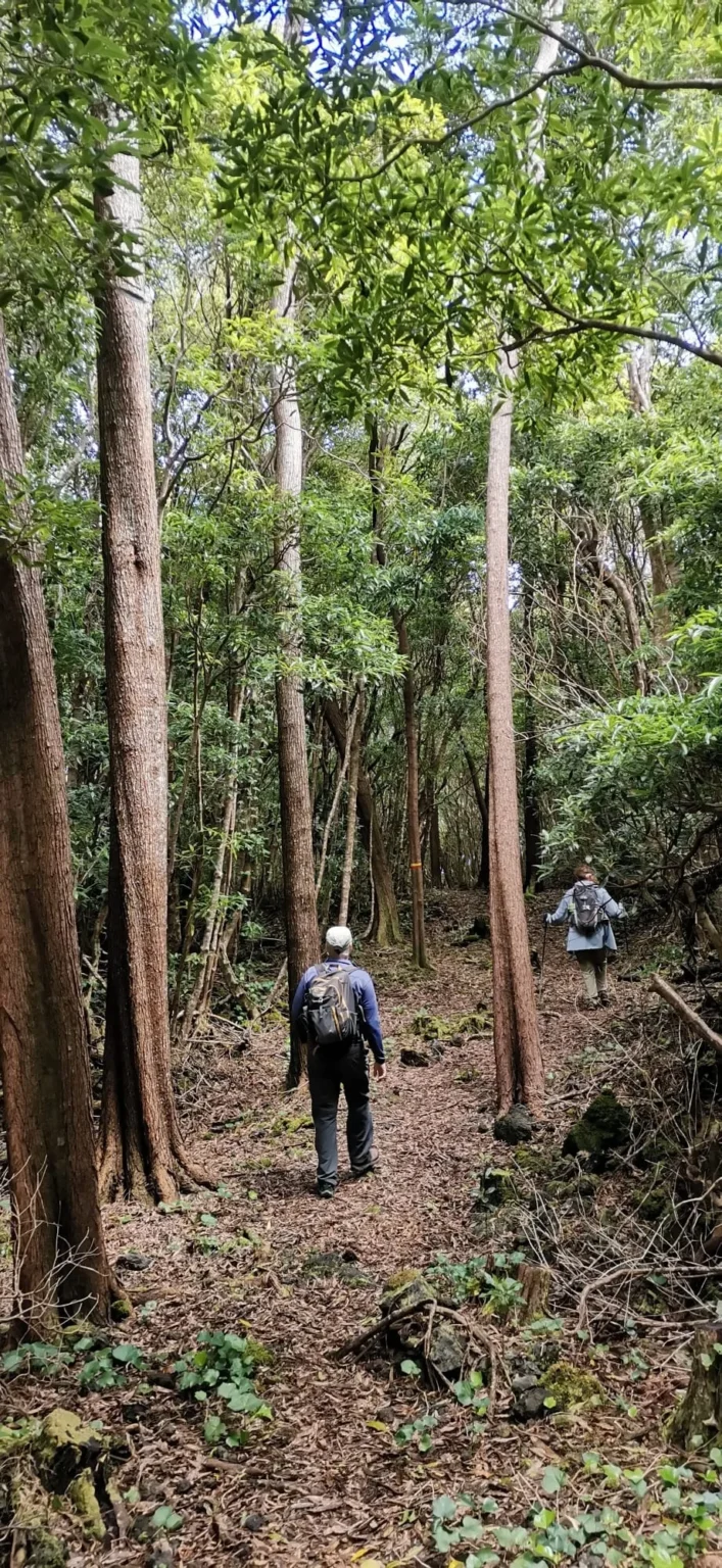 Pico East Coast Hike