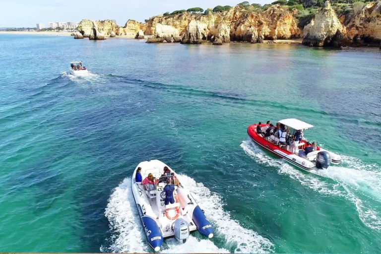 Excursão Particular em Português