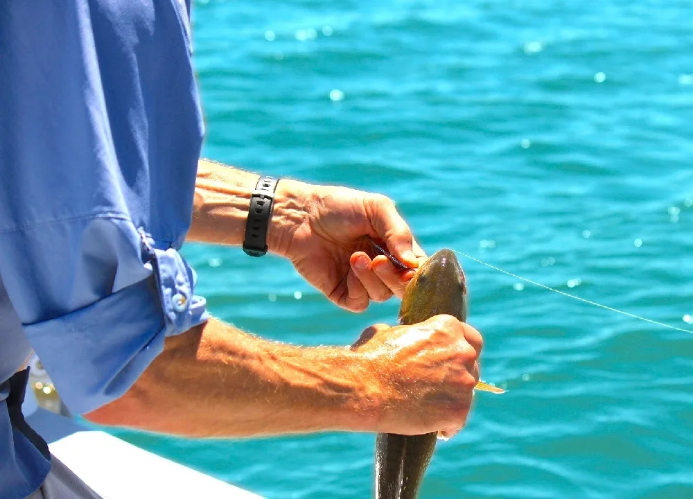 Pesca Desportiva