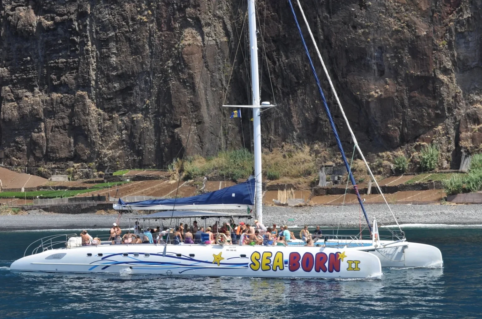 Seaborn catamaran dolphin and whale watching
