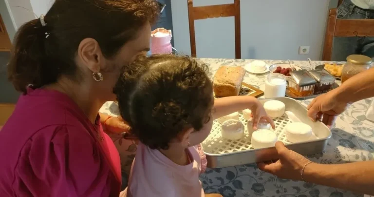Goat Cheese Making Experience