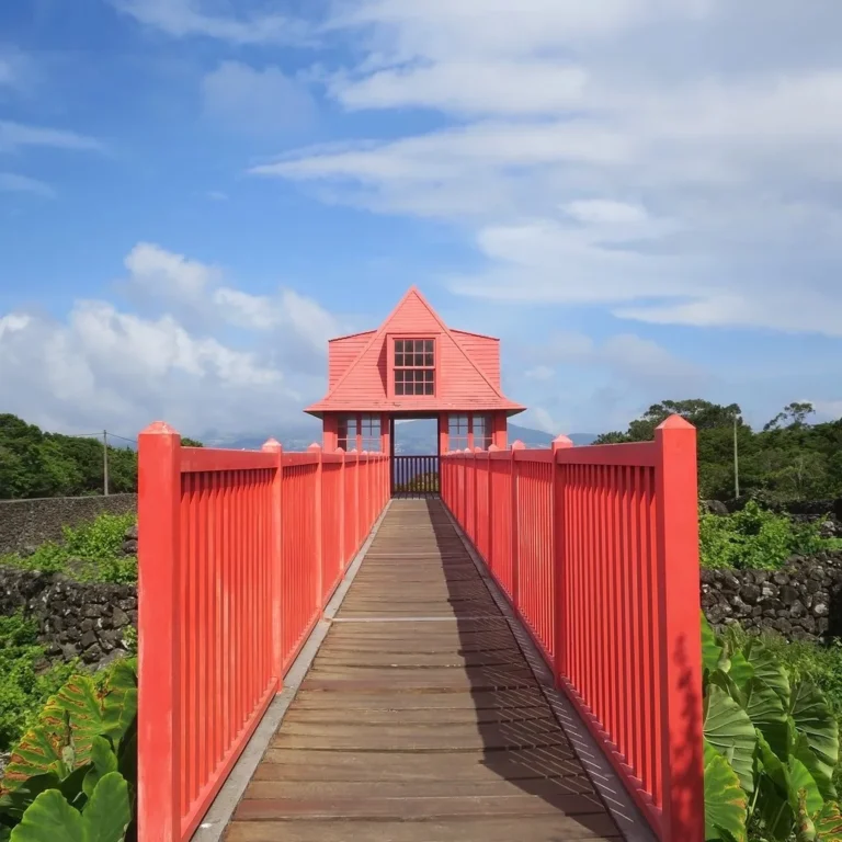 Pico Full Day Tour