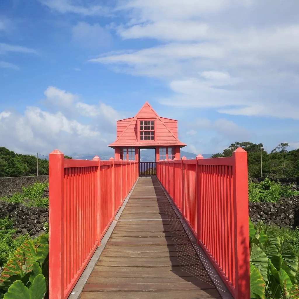 Pico Full Day Tour