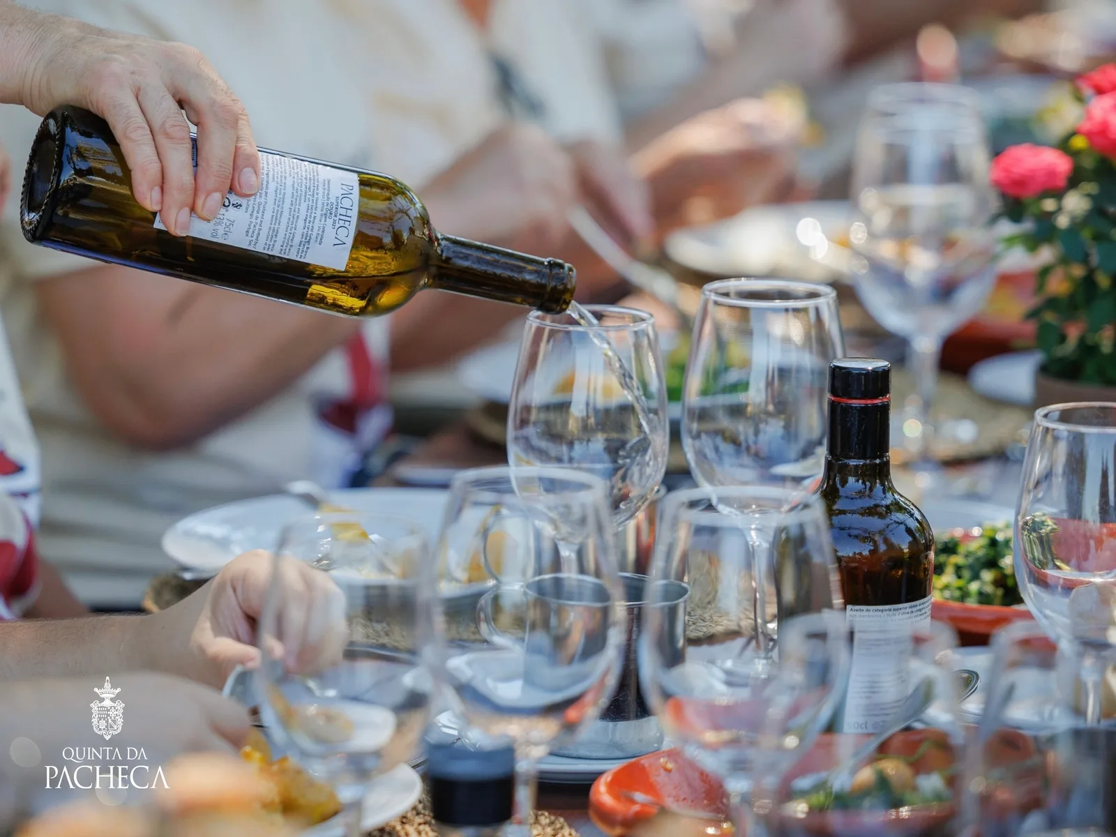 Tradicional Grape Stomping with Meal