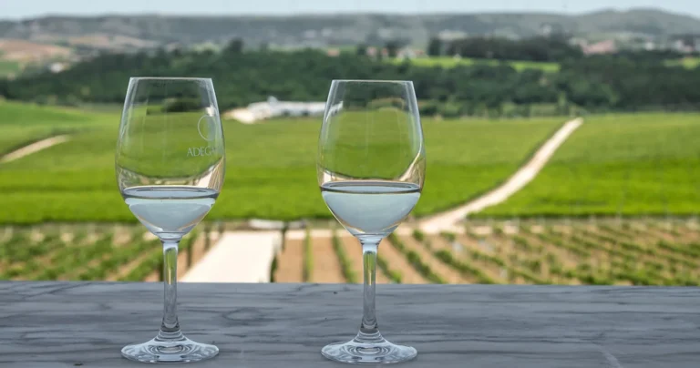 Wine Lovers Private Tour