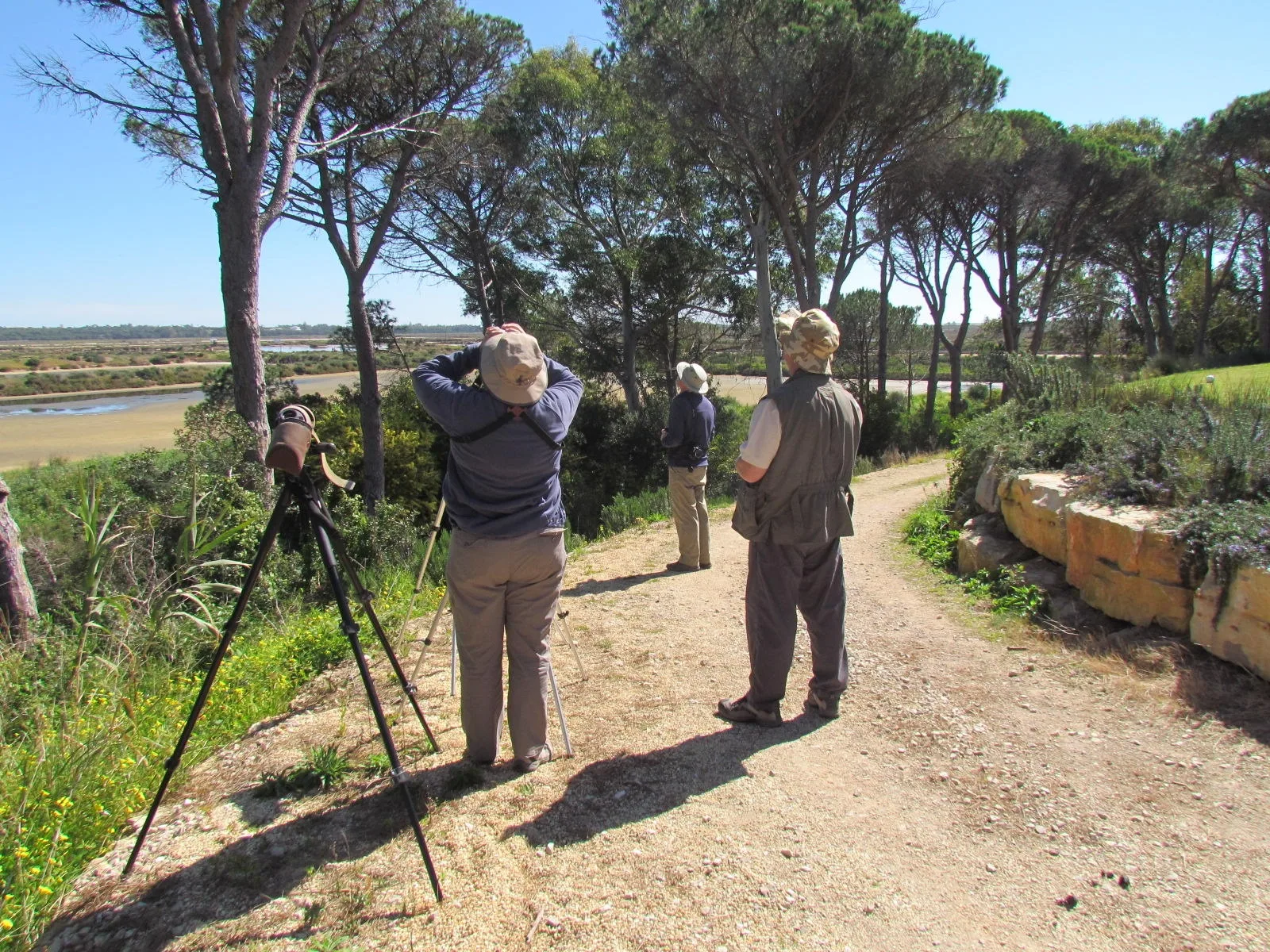 Full Day at Ria Formosa
