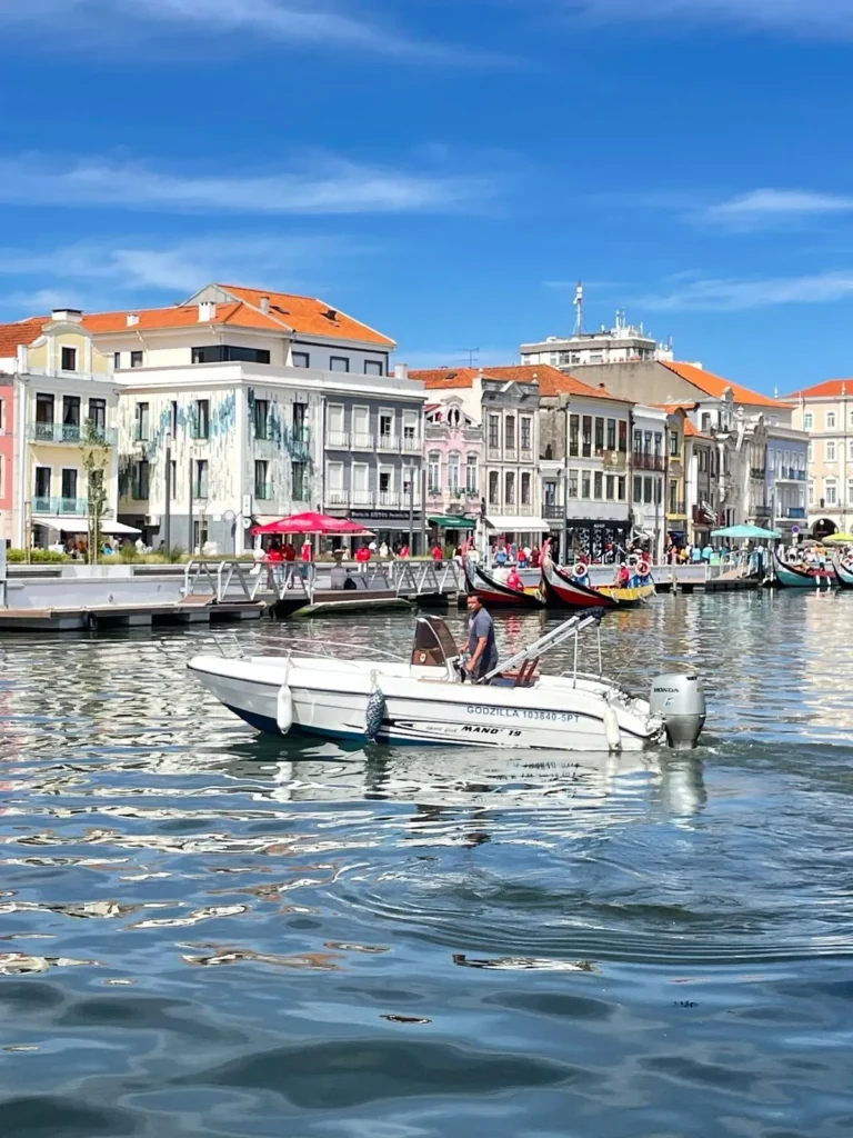 Ria de Aveiro Wakeboard Experience