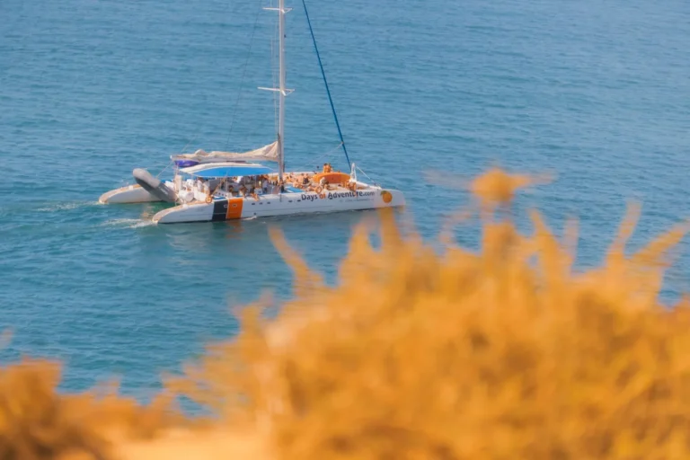 Eat & Chill – Catamaran with Lunch