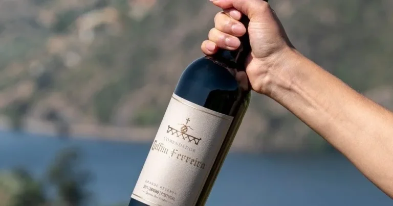Douro Deluxe Wine Tour in Armamar