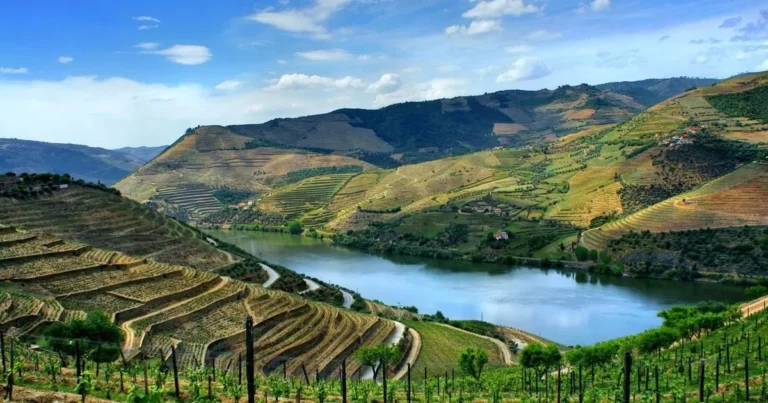Discover the Heart and Soul of Douro Wine Region