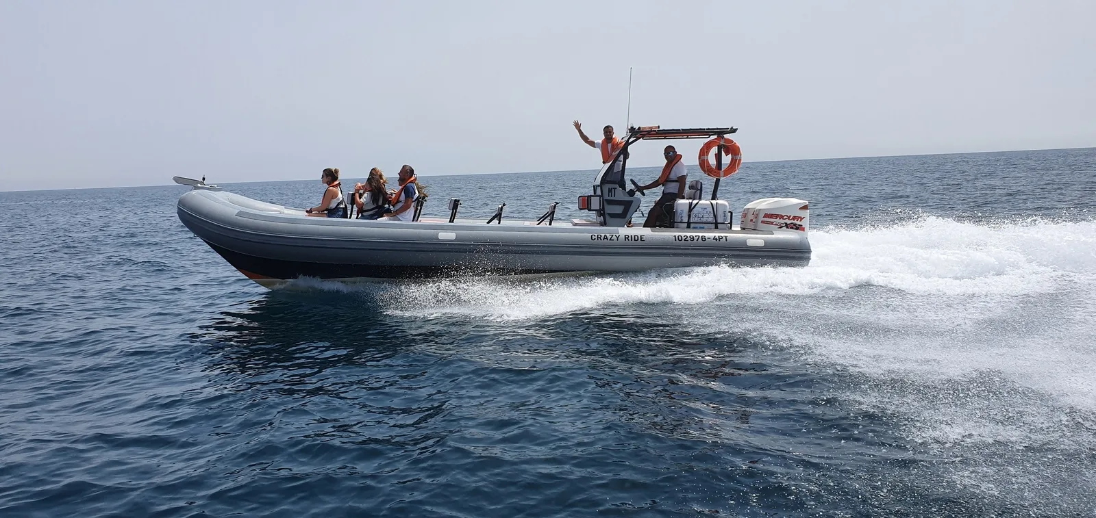 Dolphins - Speedboat