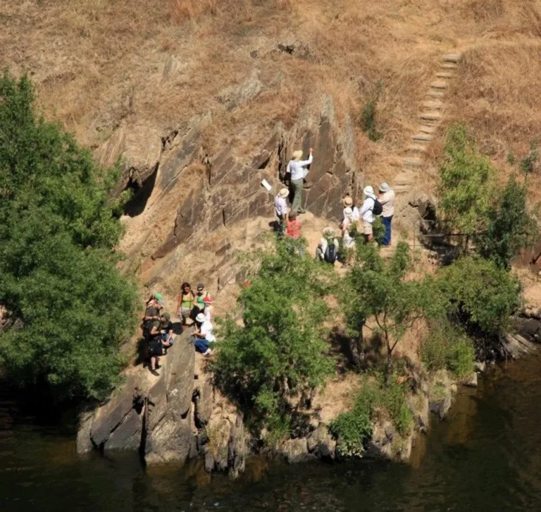 Douro & Côa Valleys — Two UNESCO World Heritage Sites in One Day