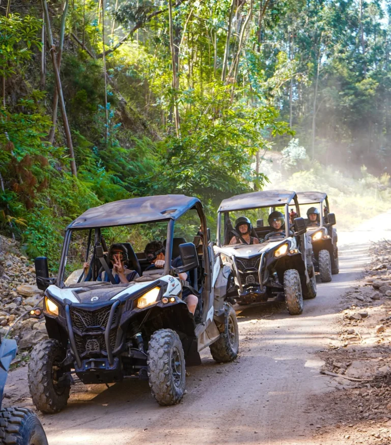 Madeira Island: Buggy FunTrip - ADVENTURE BUGGY OFF-ROAD