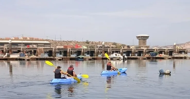 Kayaks