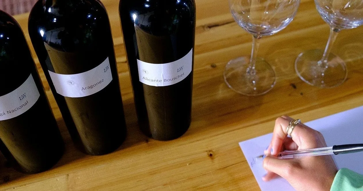 Wijnmaker voor een dag Lissabon – praktische wijnmaakervaring – 6 wijnen