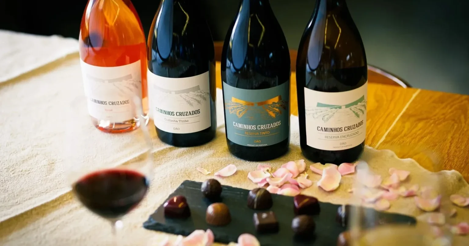 Premium Dão Winery & Vineyard Experience