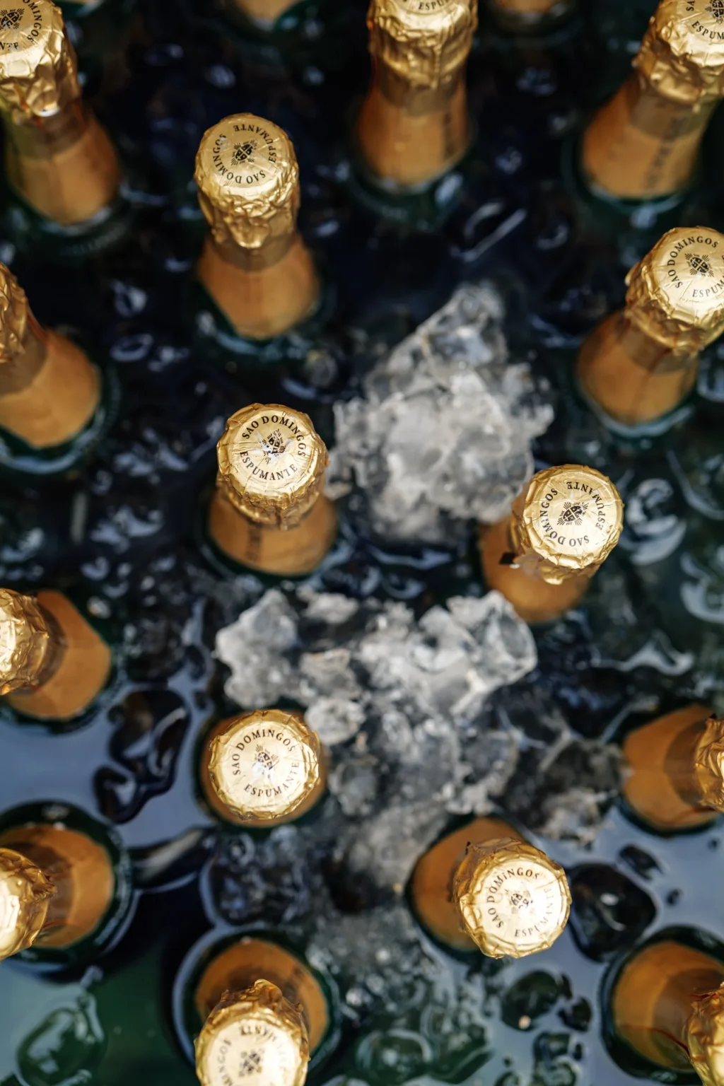Massagem Vinoterapêutica + Visita e Prova Clássica de Espumante