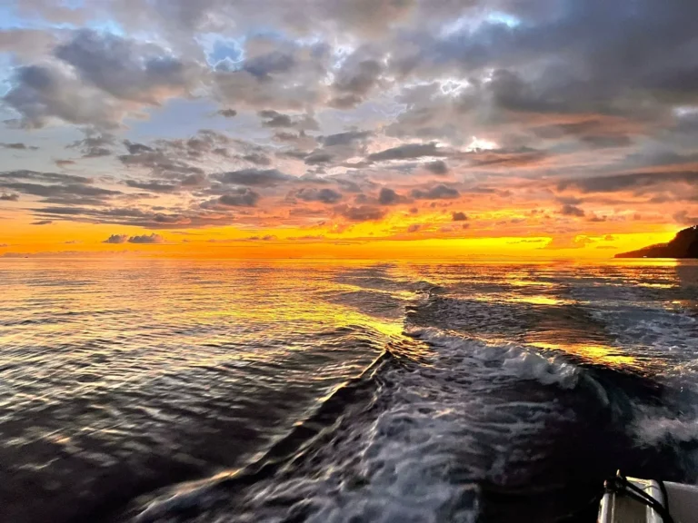 Sunset Tour - Premium Motor Boat