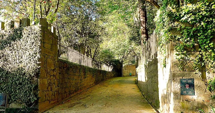 The Storyteller Porto Walking Tour