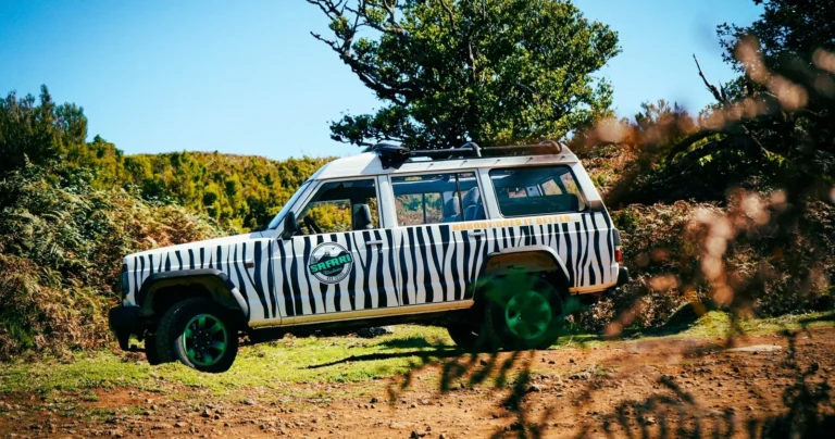 Full Day 4x4 Southwest Tour