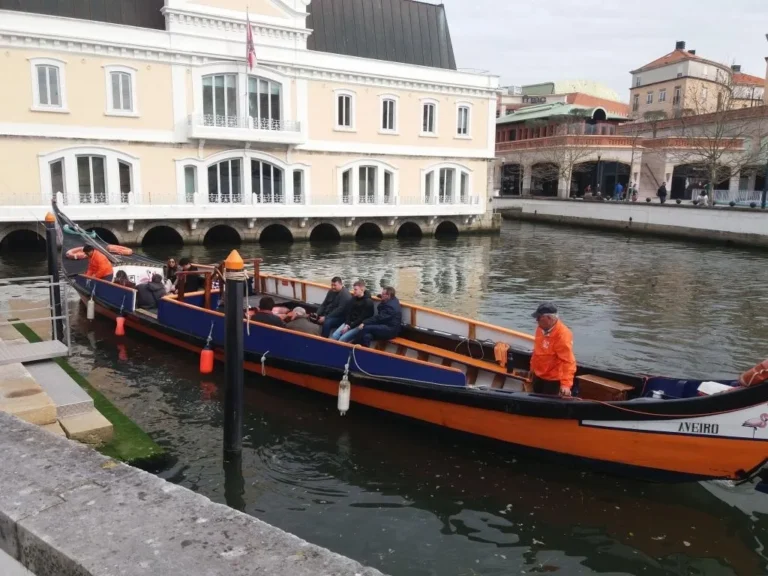 Aveiro and Costa Nova Tour (Half-day)