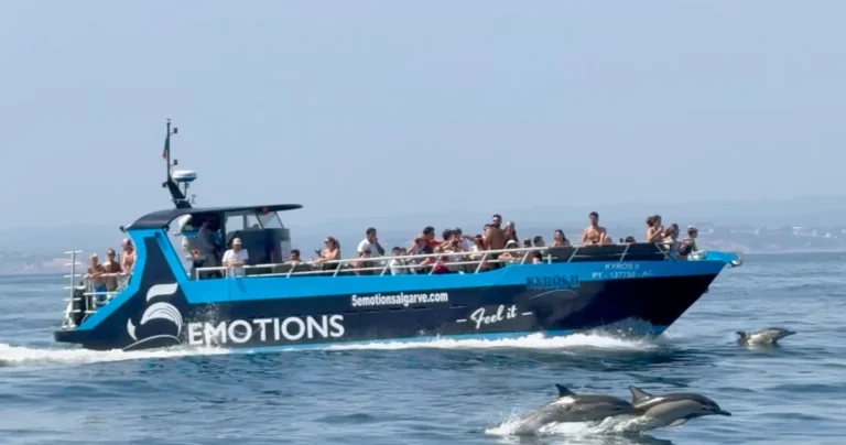 Golfinhos • Biólogo a bordo • Garantia de Avistamento*