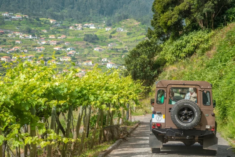 Northwest Madeira 4x4 Tour with Laurisilva Forest and tastings FD