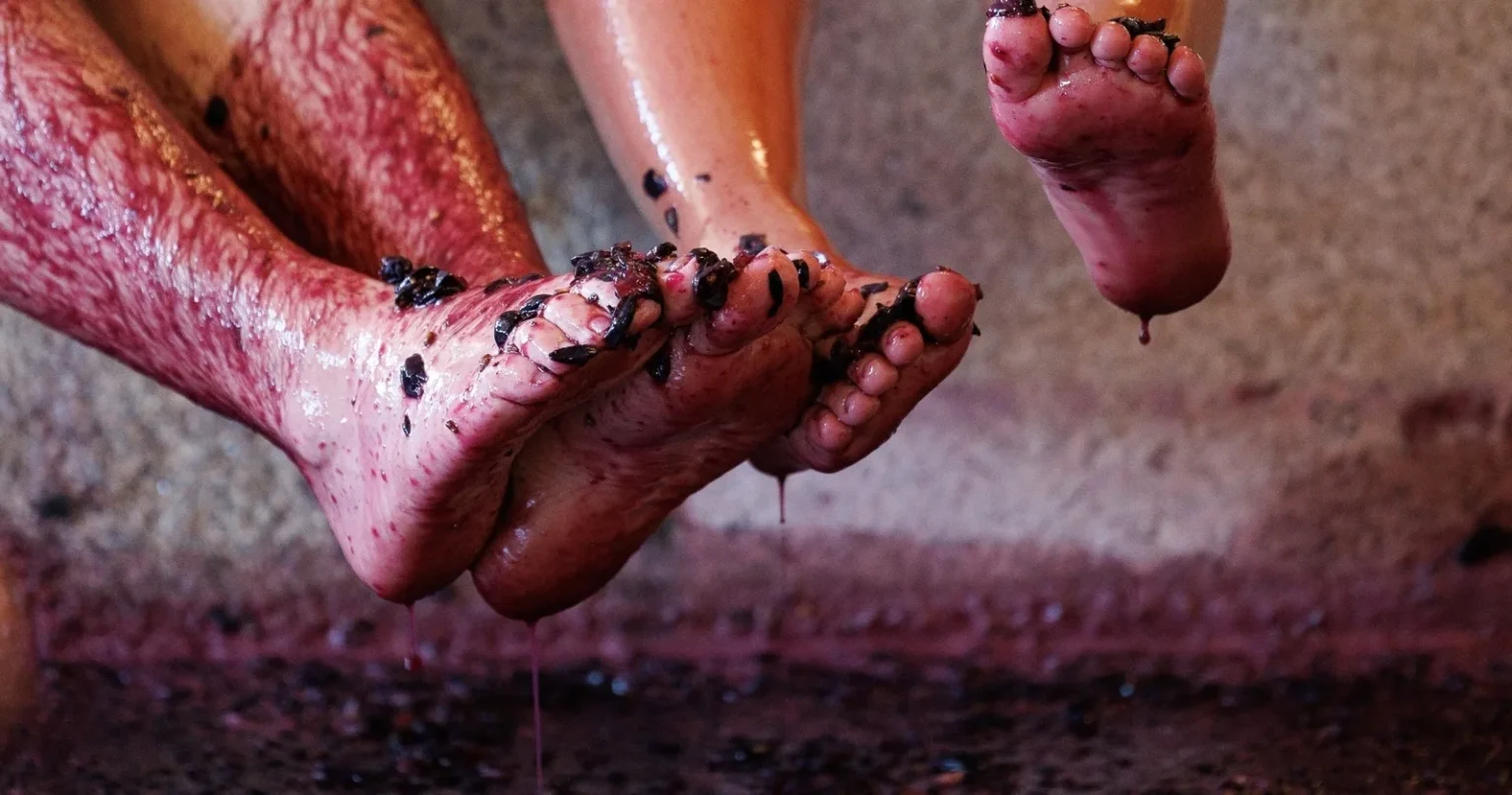 Tradicional Grape Stomping & Tour & Wine Tasting