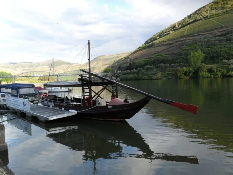The Douro Heritage: A Wine & River Experience