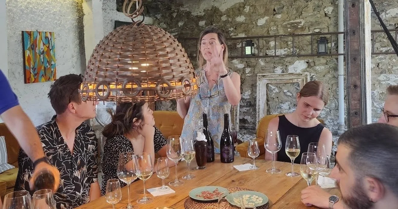 Douro Wine Tasting & Traditional Winery Experience