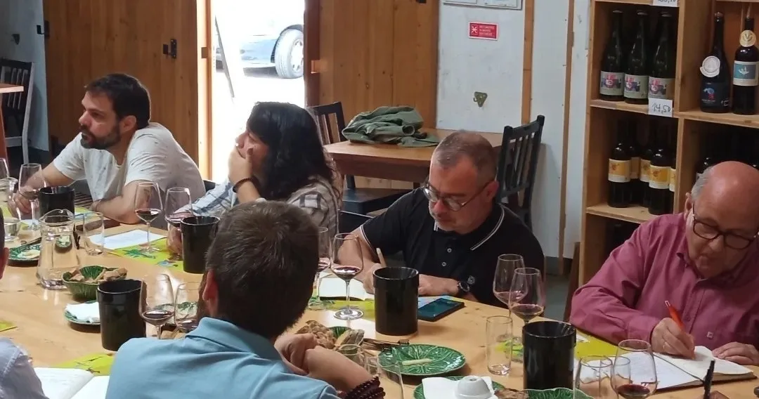 Urban Wine School Experience in Lisbon