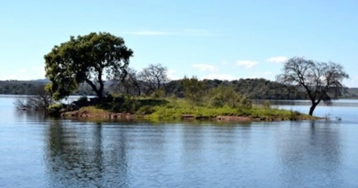 Piquenique na Ilha