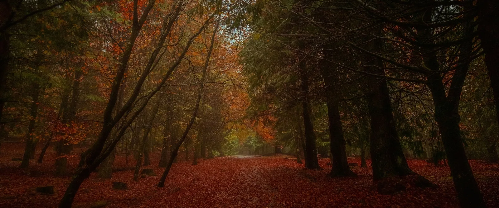 Hidden Gem – Private Guided Hike to an Off the Beaten Path