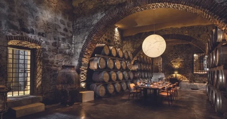 Évora Wine Tasting - New & Old Vineyards