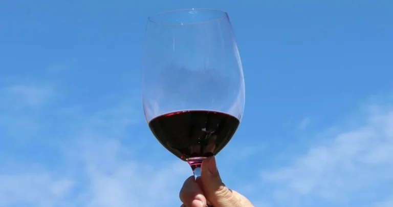 Douro Wine Tour in Armamar -  Red Tasting