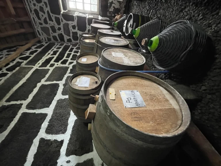 Pico Wine Half-Day Tour