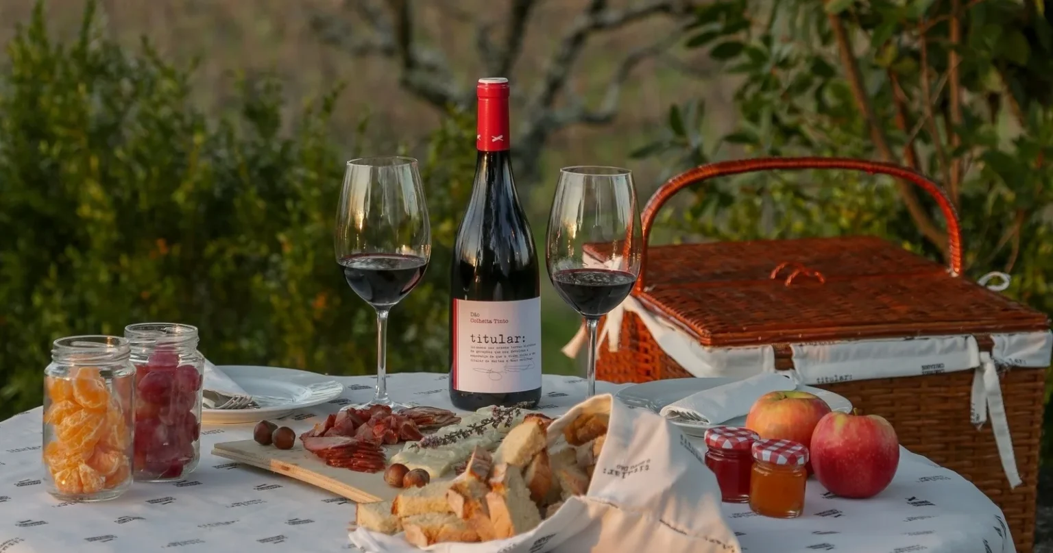 Dão Wine Picnic Experience in Nelas